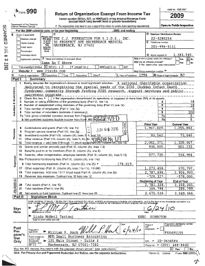 Form 990 Tax Exempt Organization Return