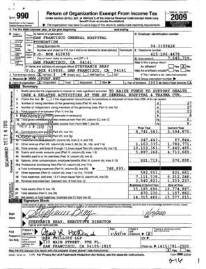 IRS Form 990 2009