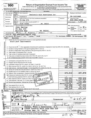 Form 990 Tax Exempt Organization Return
