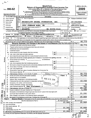 IRS Form 990-EZ 2009