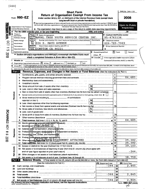 Form 990-EZ Tax Return