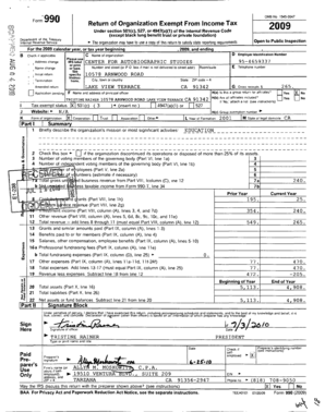 IRS Form 990 2009