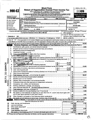 Form 990-EZ 2009