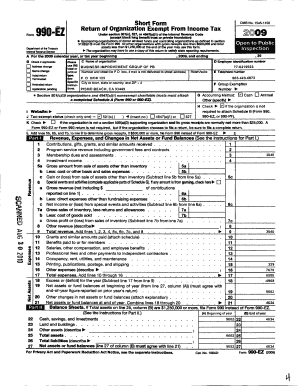 IRS Form 990-EZ 2009