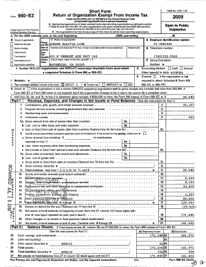 Form 990-EZ 2009