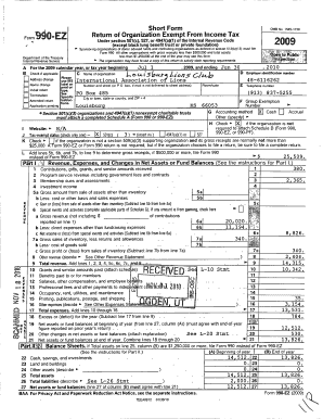 Form 990-EZ 2009