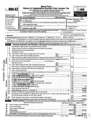 Form 990-EZ 2009