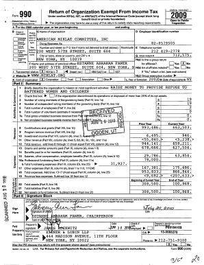 IRS Form 990 2009