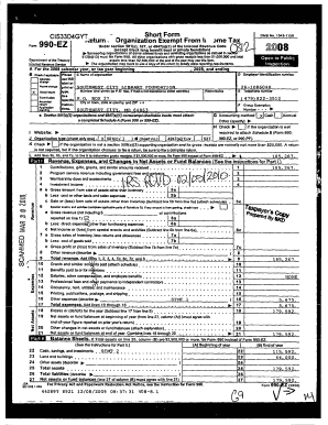 Form 990-EZ Tax Return