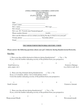 Thunderstorm Fireworks Behavior Form