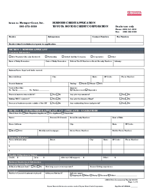 Form preview picture