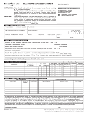 Healthcare Expense Statement