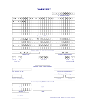 SEC Form 20-IS Information Statement