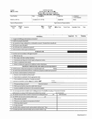 Drilling Inspection Record Form
