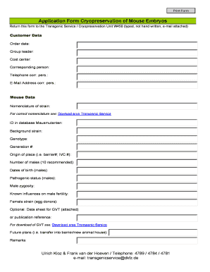 Form preview