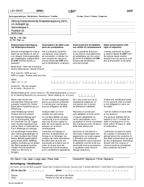 Swissgrid Debit Authorization Form