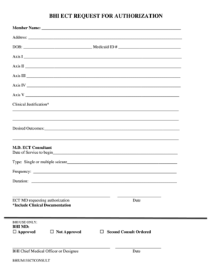 BHI ECT Request for Authorization