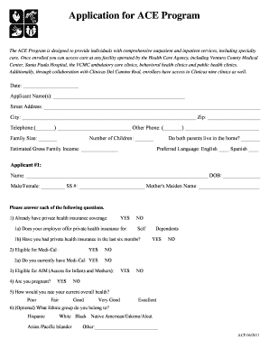 ACE Program Application