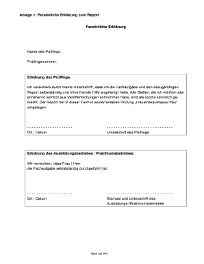 Persönliche Erklärung zum Report