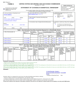 Form preview picture