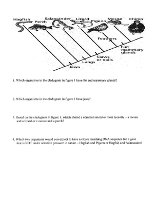 Fillable Online Name: Date: Period: Score: Fax Email Print - pdfFiller