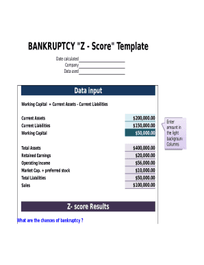 Bankruptcy Z-Score Template