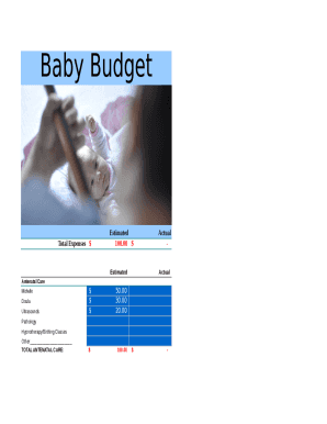 Baby Budget Template