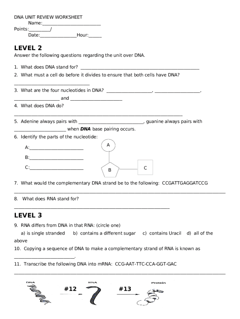 DNA UNIT REVIEW WORKSHEETName Doc Template PdfFiller