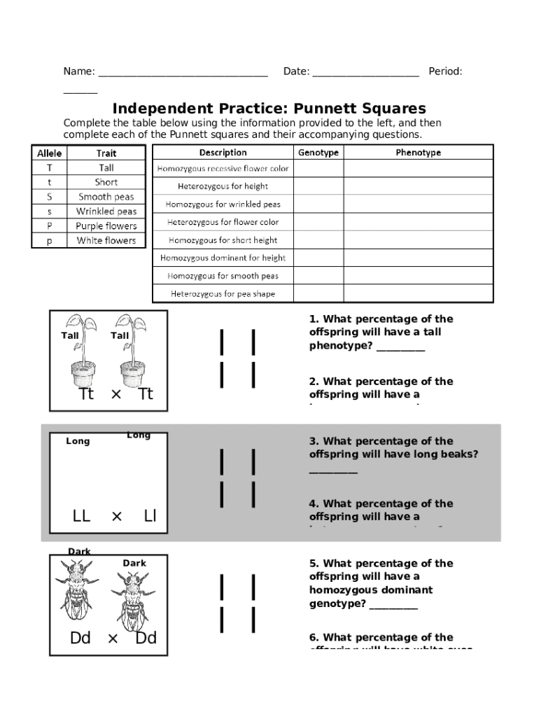 independent practice punnett squares answer key Doc Template | pdfFiller
