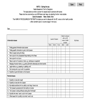 Cancer Caregiver Needs Assessment Tool