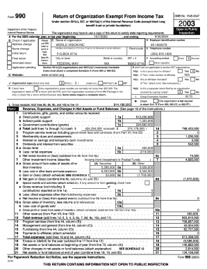 Form 990 2003