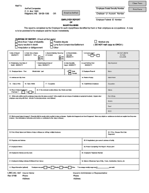 Employer Injury Illness Report