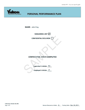 Personal Performance Plan Template