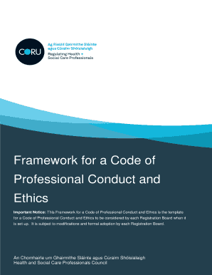 Framework for Code of Professional Conduct and Ethics