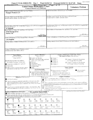Voluntary Petition for Bankruptcy