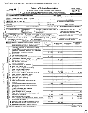 Form 990-PF 2013