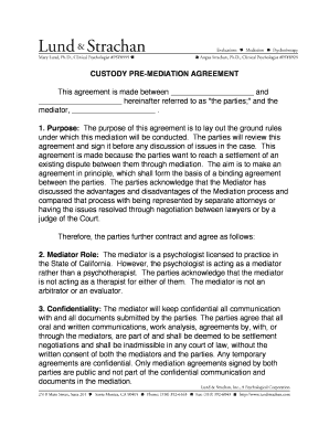 Custody Pre-Mediation Agreement