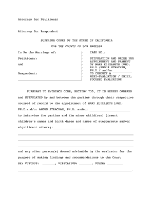 Stipulation and Order for Appointment and Payment of Child Custody Evaluator
