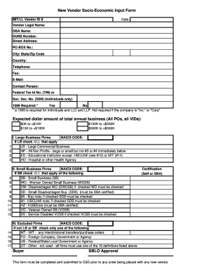 New Vendor Socio-Economic Input Form