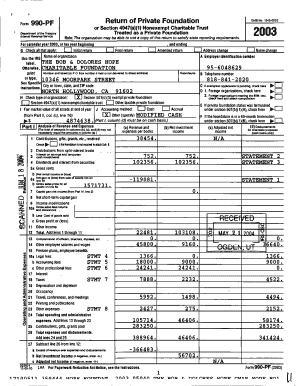 Form 990-PF 2003