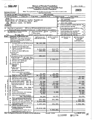 Form 990-PF 2003
