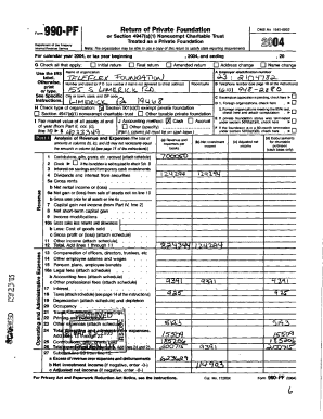 Form 990-PF Private Foundation Tax Return