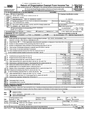 IRS Form 990 2013