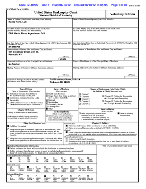 US Bankruptcy Voluntary Petition Form