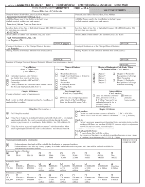 US Bankruptcy Voluntary Petition