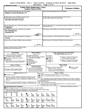 US Bankruptcy Voluntary Petition Form
