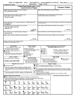 US Bankruptcy Voluntary Petition