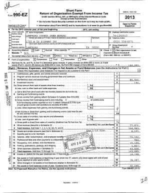 Form 990-EZ Tax Return