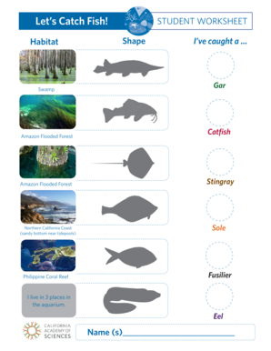 Let’s Catch Fish! Student Worksheet