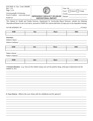 Kentucky Dispositional Report Form